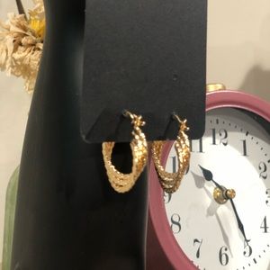 18k Gold Laminated Earrings